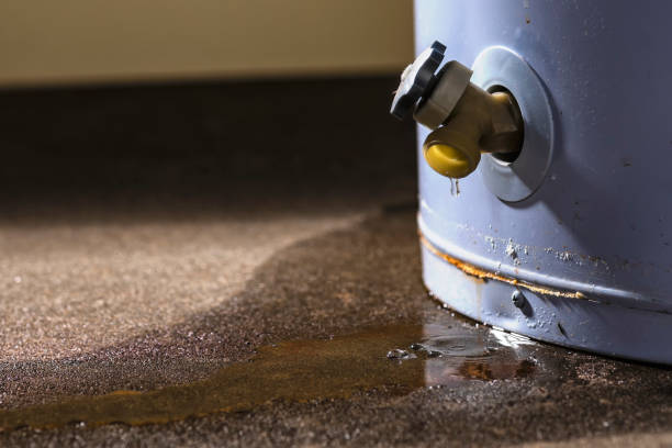 Best 24/7 water damage repair  in Lexington, WA