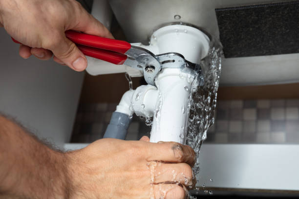 Best Carpet water damage restoration  in Lexington, WA