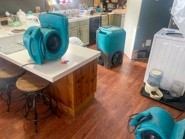 Best 24/7 water damage repair  in Lexington, WA
