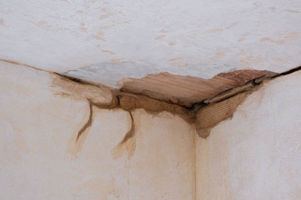 Best Water damage restoration near me  in Lexington, WA
