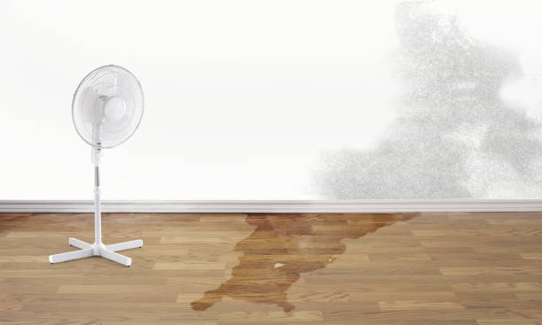 Best Emergency water damage restoration  in Lexington, WA