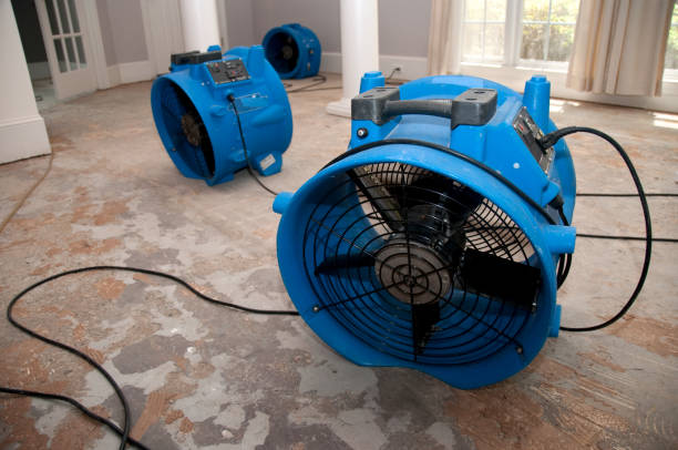 Best 24-hour water damage restoration  in Lexington, WA