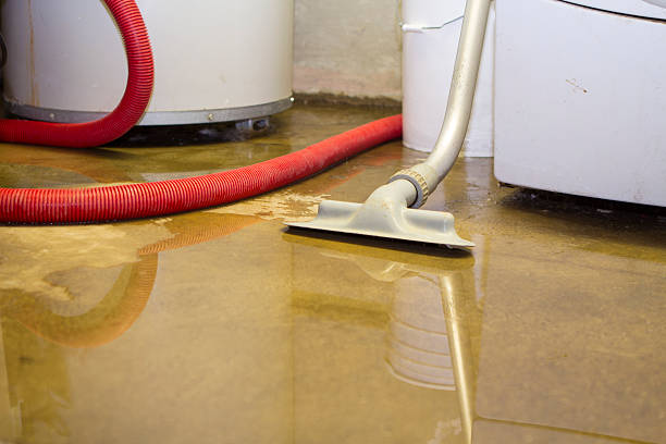 Best Mold removal after water damage  in Lexington, WA