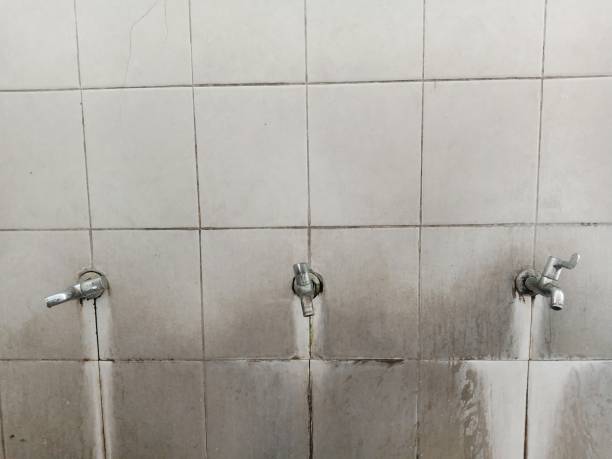 Best Water damage restoration near me  in Lexington, WA