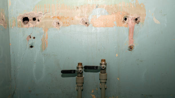 Best Commercial water damage restoration  in Lexington, WA