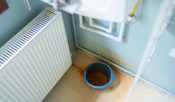 Best Basement water damage restoration  in Lexington, WA