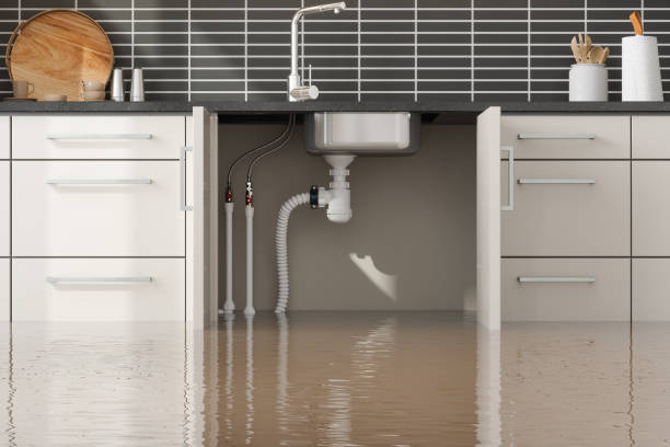Lexington, WA Water damage restoration Company