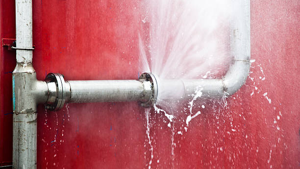 Best Professional water damage repair  in Lexington, WA