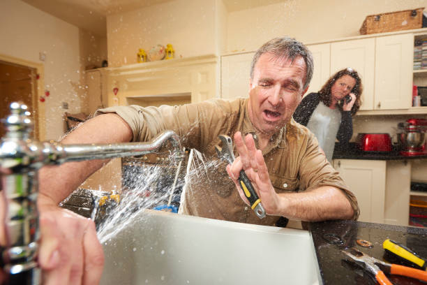 Best Flooded house restoration  in Lexington, WA